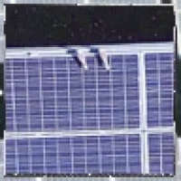 Ptice (žive) Ptice (žive)