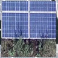 Vegetacija Vegetacija